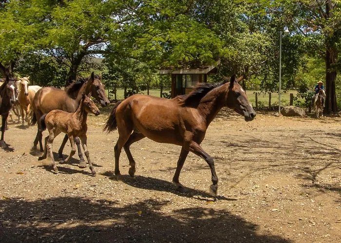 Rancho Humo Hotel 3*