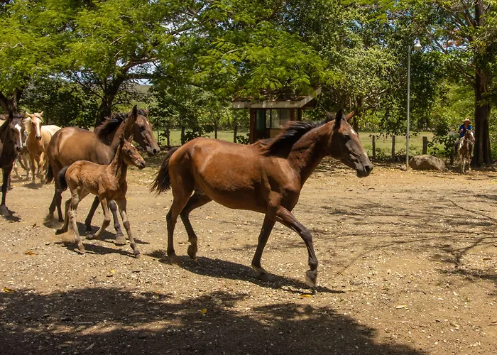 Rancho Humo Hotel